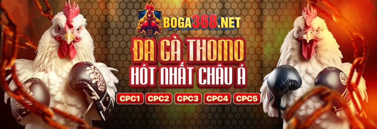 Đá gà trực tuyến kịch tính tại Cwin05 khuyến mãi